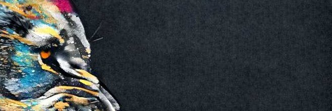 JulesMeena's profile banner image