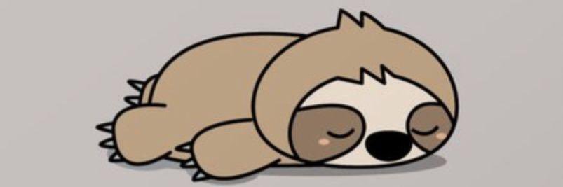 SlothStyle banner