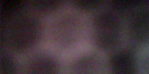 rhinogobia's profile banner image