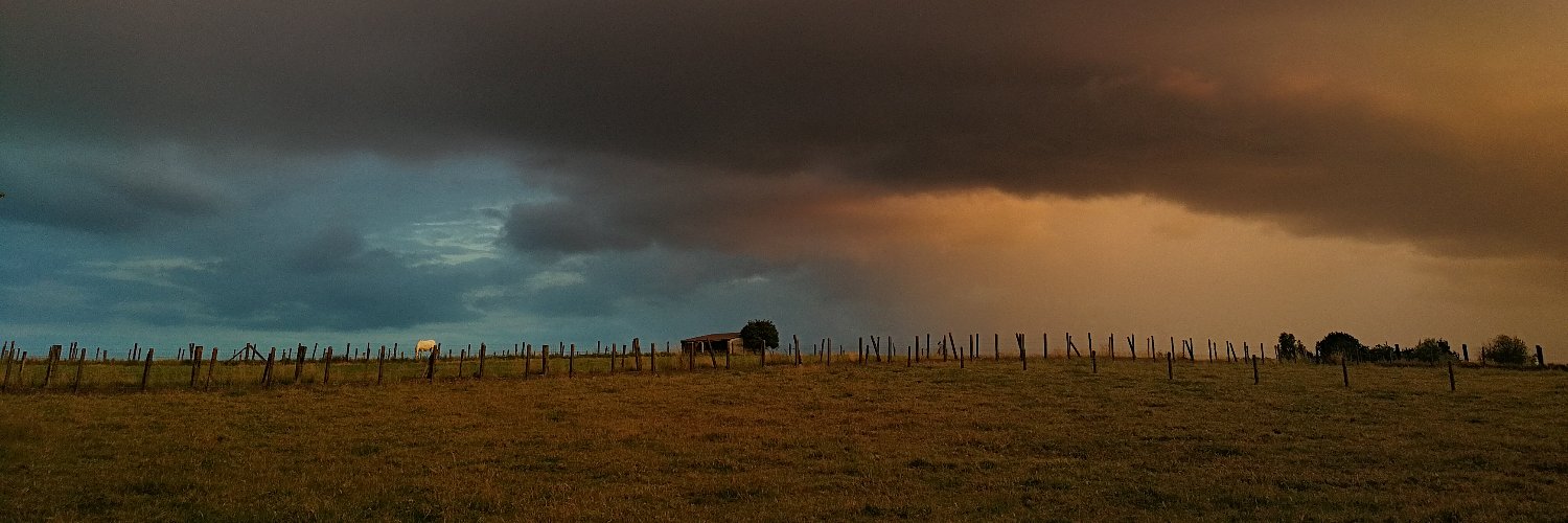 Sarne De Vliegher banner