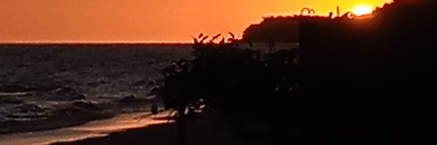 Tuleque's profile banner image