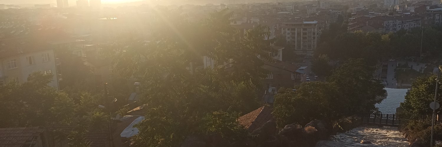Steve Yiğit banner