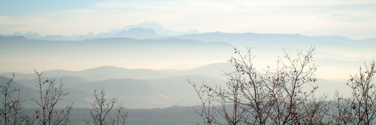 Trudy Harpham, PhD banner