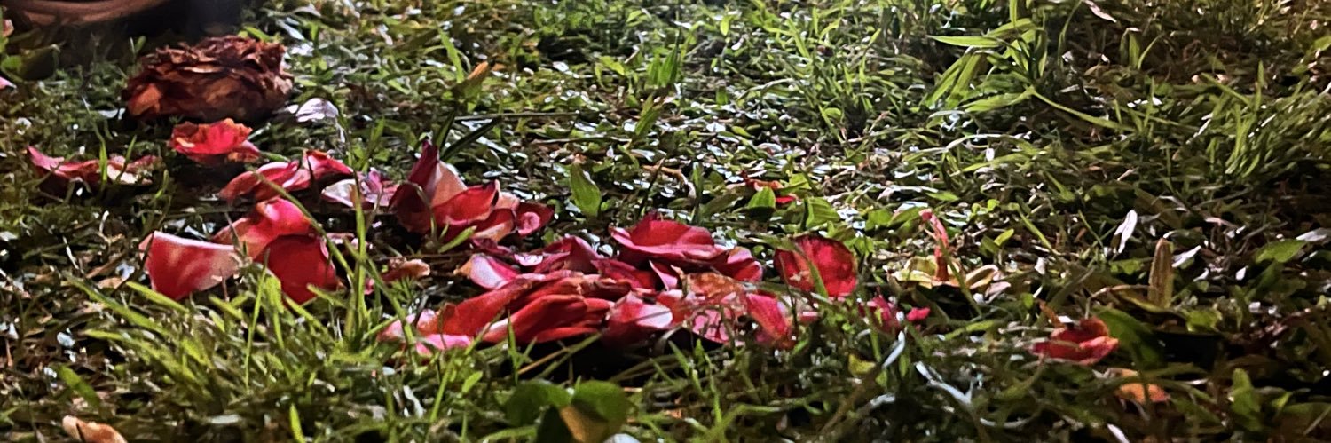 Ugh_mauri's profile banner image