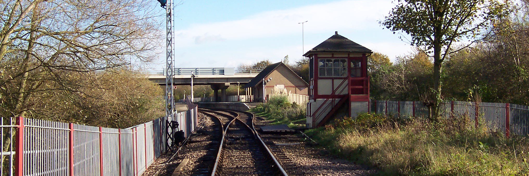 Robert Maskill banner