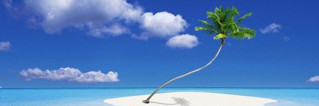 FineVirginie's profile banner image