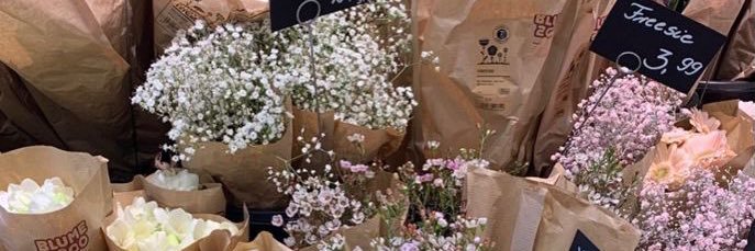 mell ◡̈⋆ banner