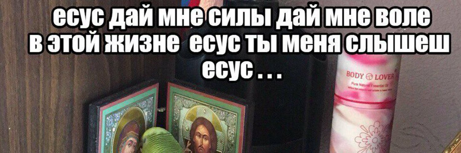 Есус помоги мем с попугаем картинки Есус попугай Фитостудия-63.ру