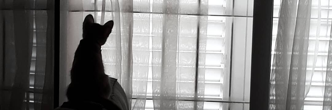 Angiepaladini's profile banner image