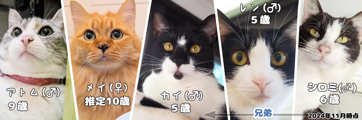 やまい banner