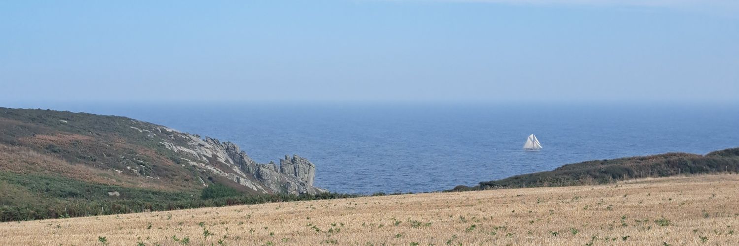 d'un banner