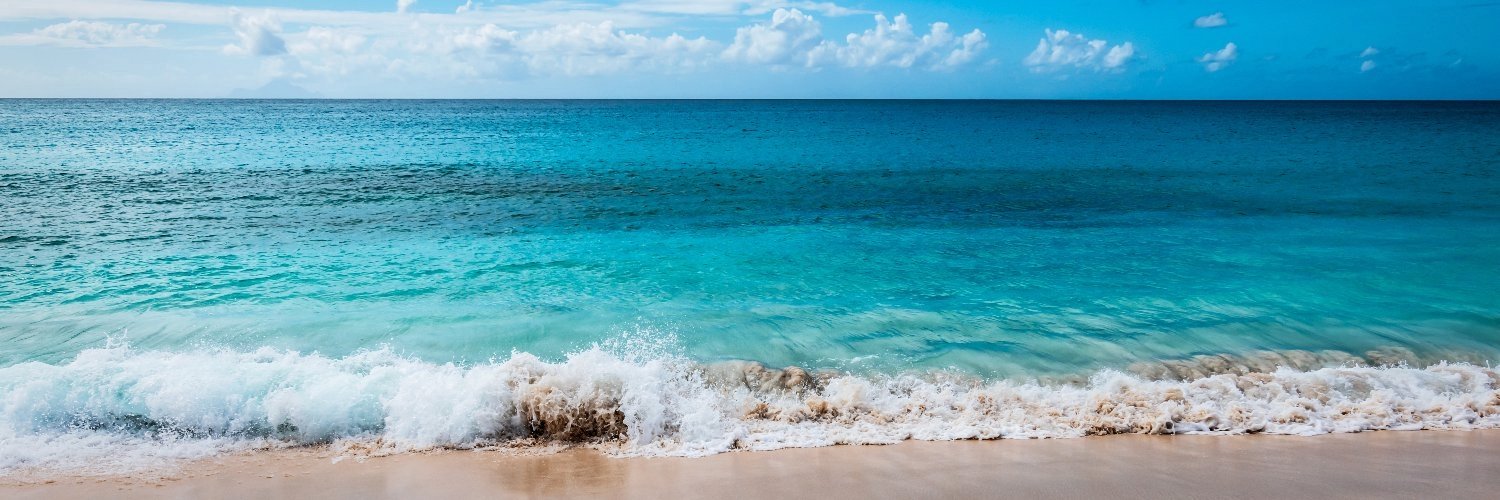 𝘼𝙡𝙤𝙣𝙖 banner