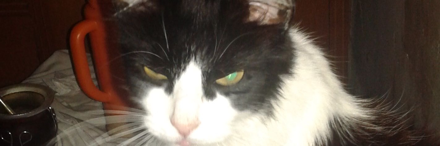 papmon1957's profile banner image