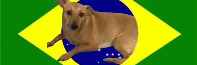 prefeitodotuite's profile banner image