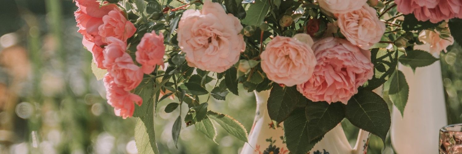 mayflora05's profile banner image