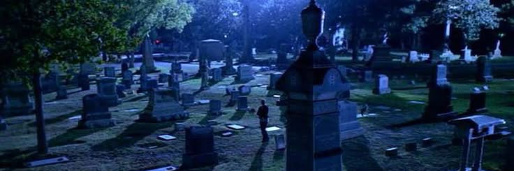 bear⁷🎱🐛 banner