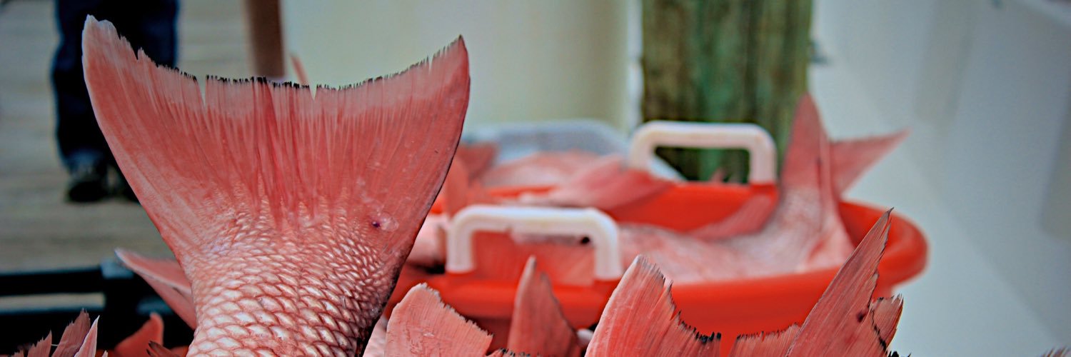 GulftoTable's profile banner image