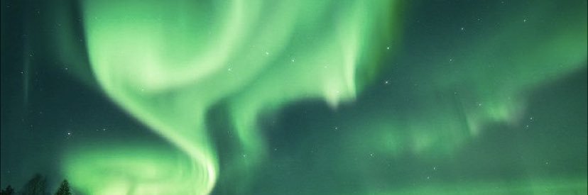 lydcrackedup banner