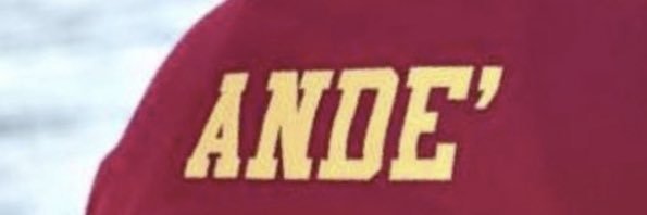 Ande banner