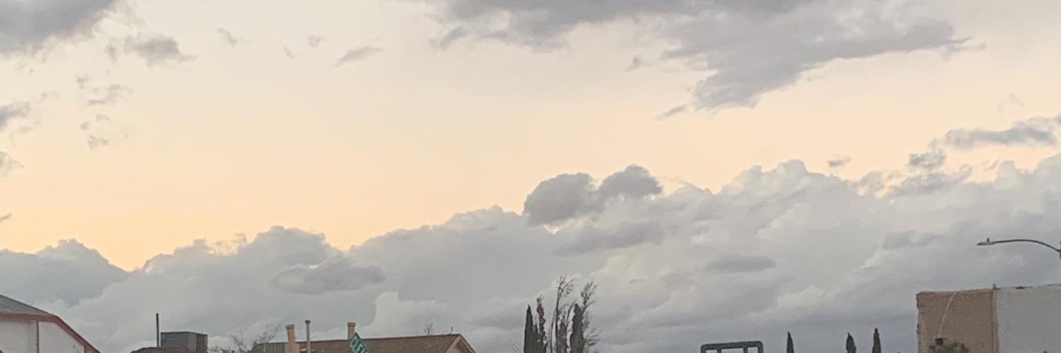 katy banner