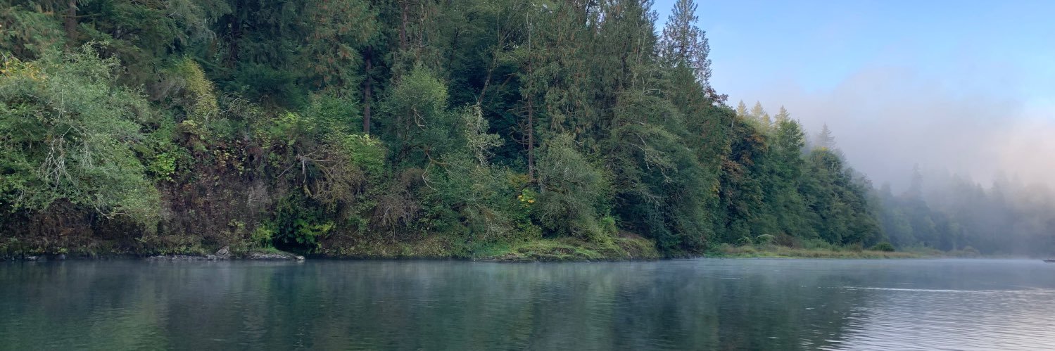 PNWdazed banner