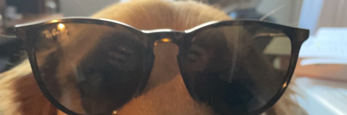 thekillinator's profile banner image