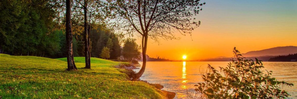 florimarques's profile banner image