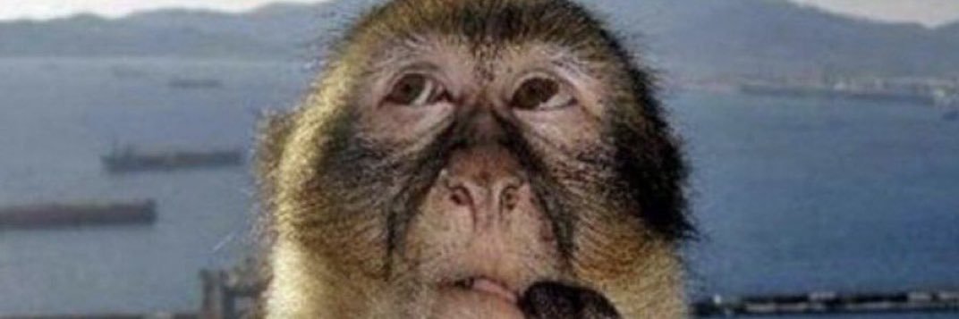 SolzSG | Vtuber banner