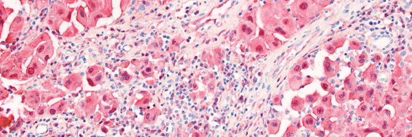 David_J_Adams Profile Banner