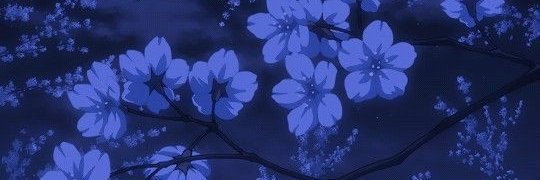 󠀀󠀀 󠀀ٰ banner