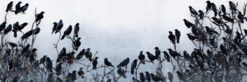 rattatawi's profile banner image