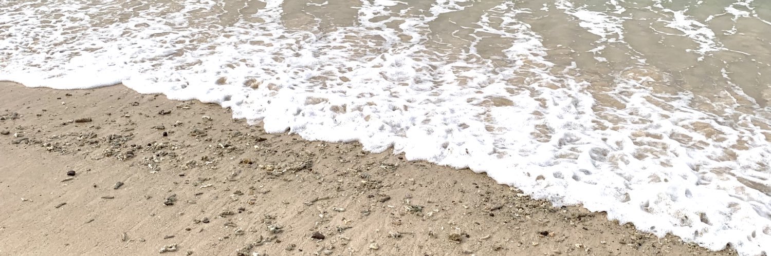 loops! banner