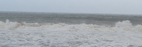 thingamakavi Profile Banner