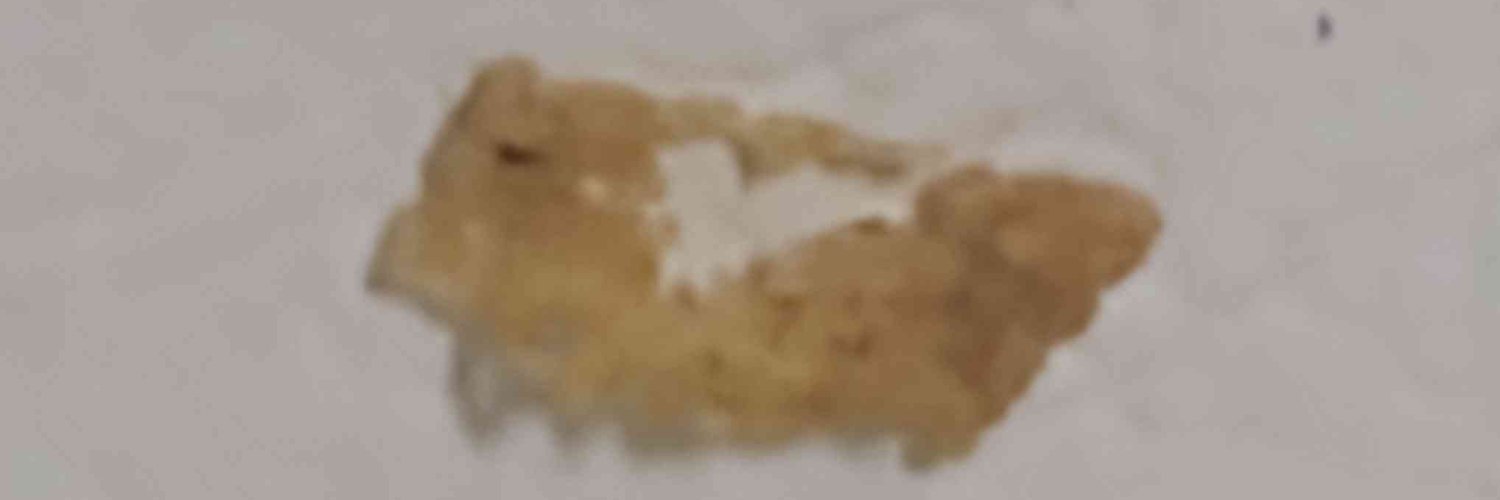 corpsemaggots's profile banner image