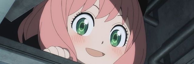 Matsu 🦉🌟 banner