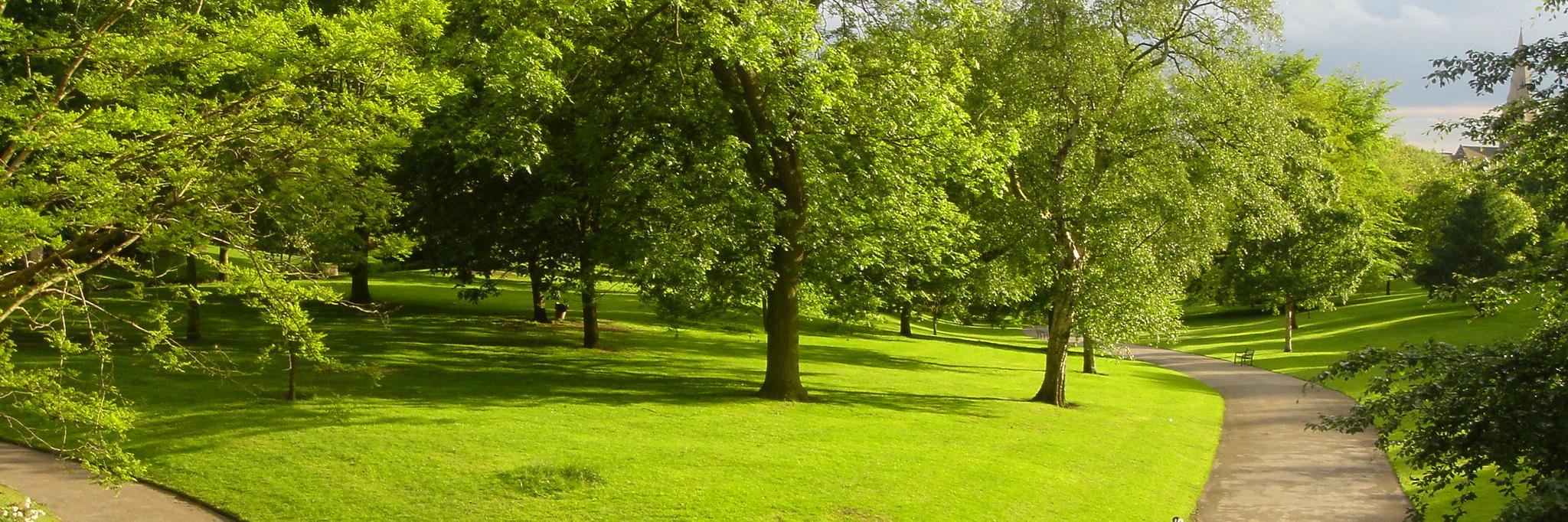 NG Green Spaces banner