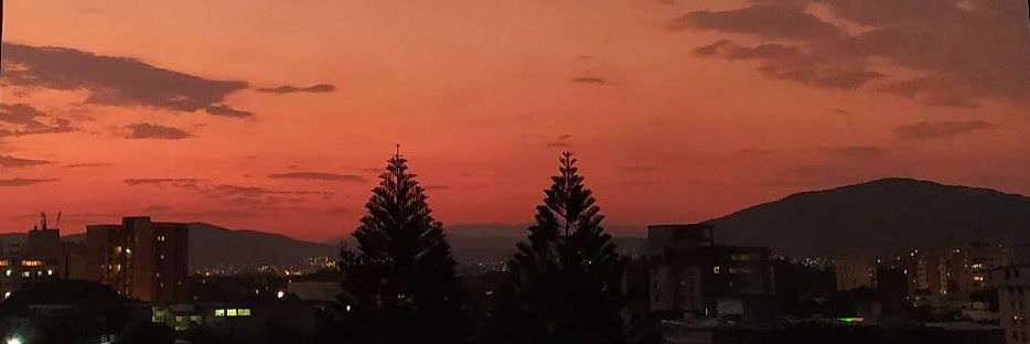 ricardoadames's profile banner image