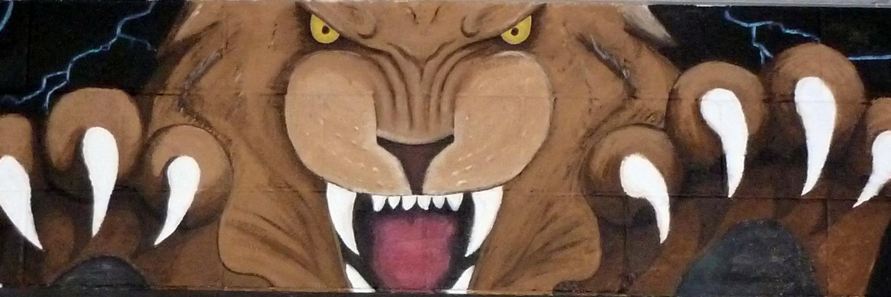 Wright City High banner