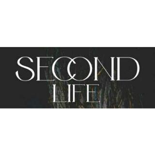 Second Life banner