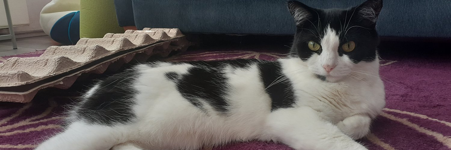 I❤goth girls banner