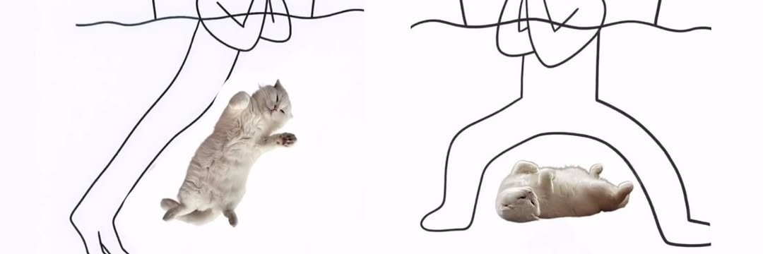 Alibaba và 40 tên cướp👳‍♂️💗🥷 banner