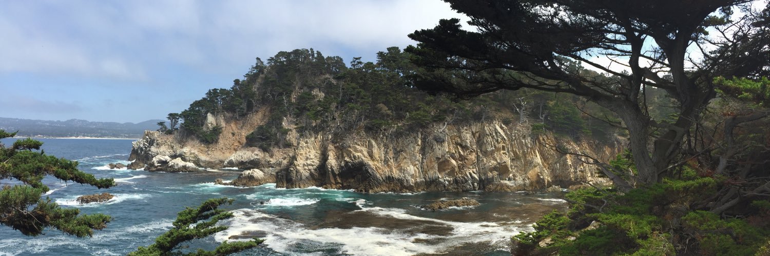 Mickey Aharony banner