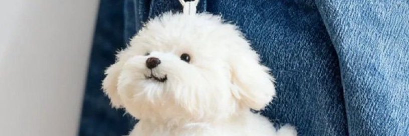 tsukimimimin's profile banner image