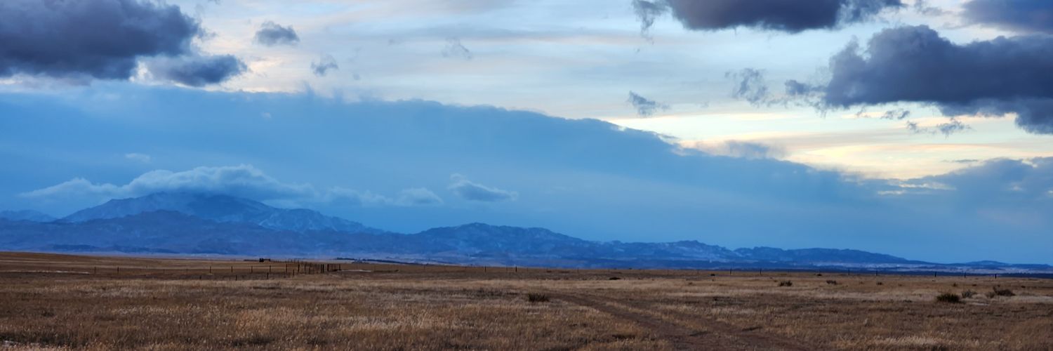 ChuckyRhee's profile banner image