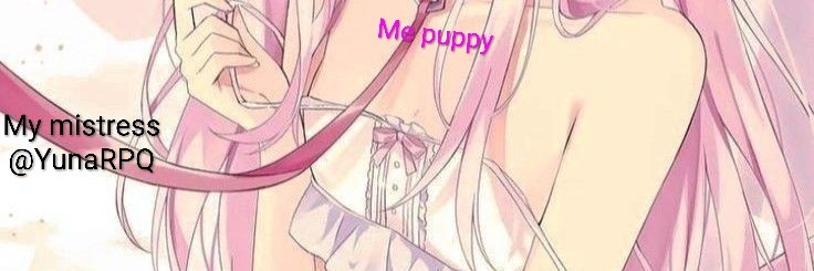 Alice Sub banner