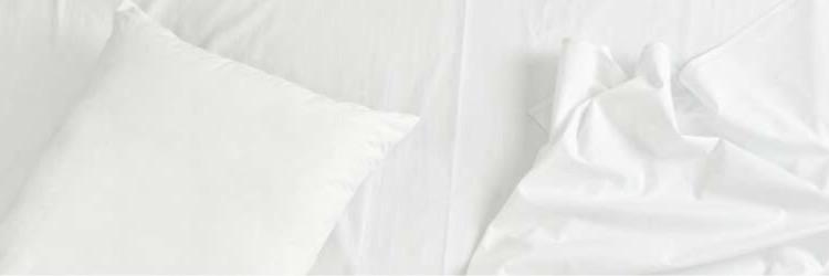 tfwlester's profile banner image