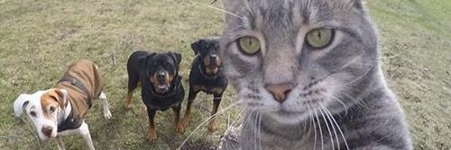 menduhcelik's profile banner image