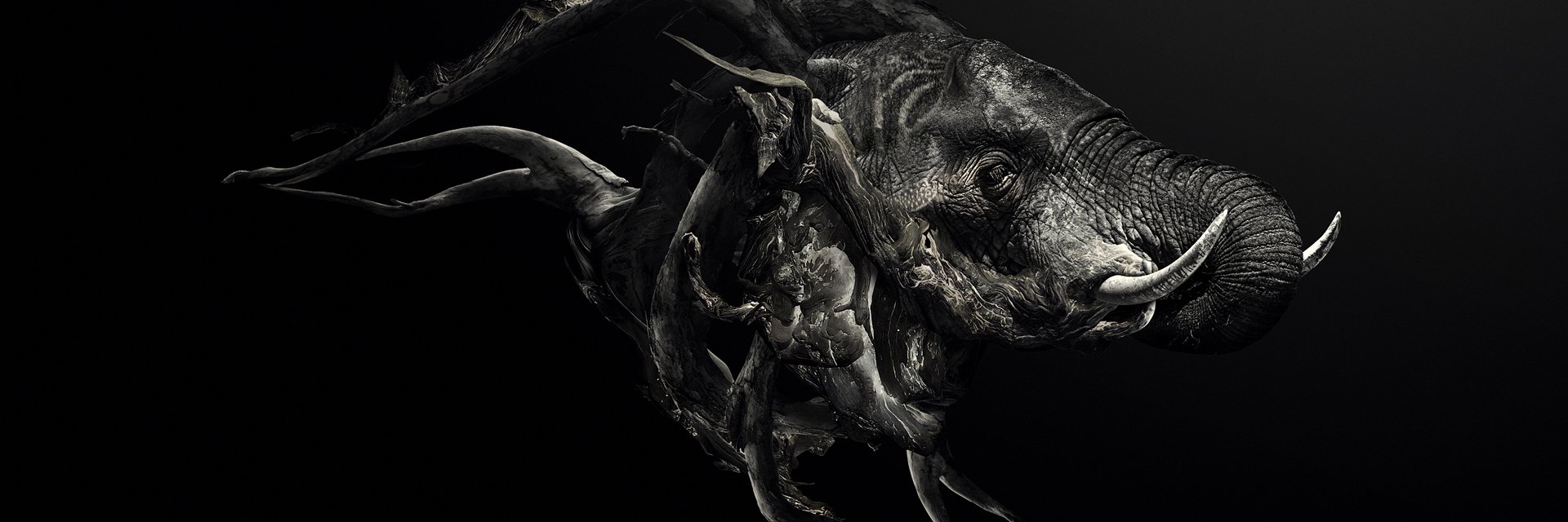 Chibomb's profile banner image