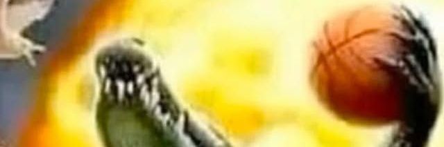 SpikyRandom's profile banner image