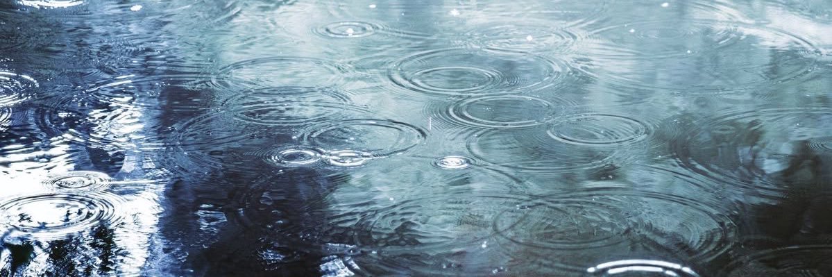 carlee 🛸 is UNIQUE banner